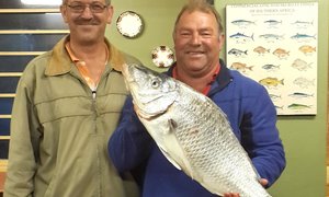 Oubaas se Wit Steenbras